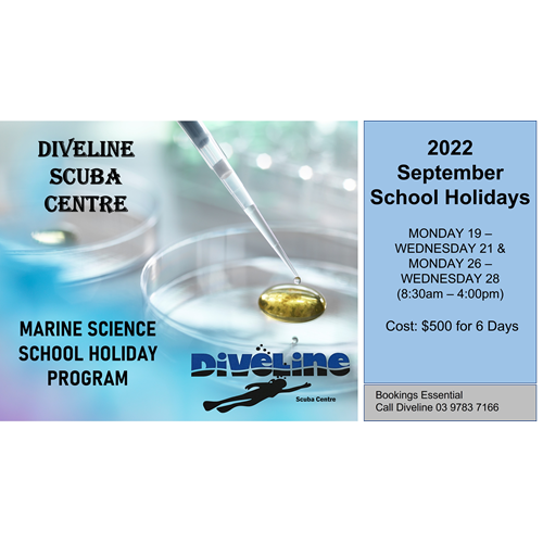 Diveline's Marine Education Program
